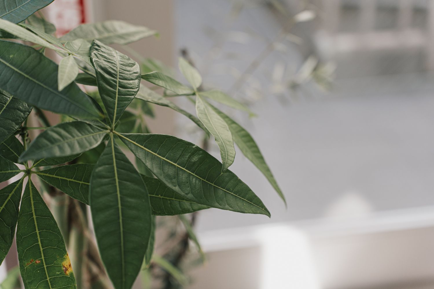 アイラッシュサロン grandjete プライバシーポリシー